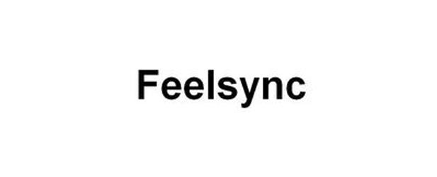Feelsync System-big-image