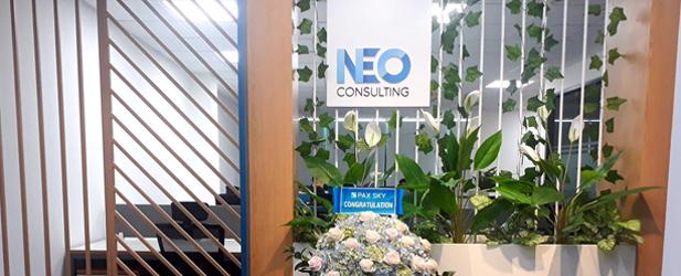 Neo Consulting-big-image