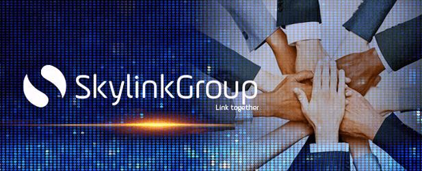 Skylink Group-big-image