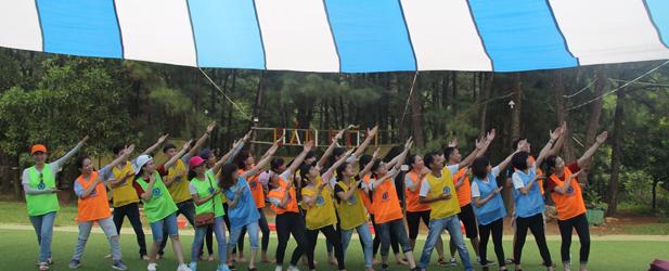 Synopex Vietnam-big-image